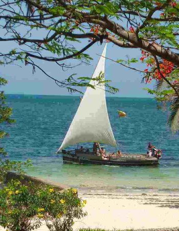 Driftwood Beach Club