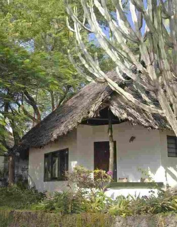 Driftwood Beach Club