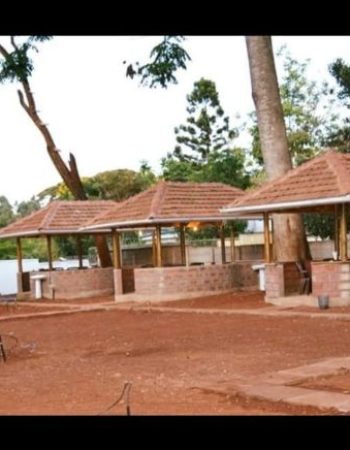 Mint Shack Peponi