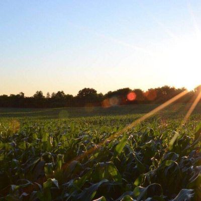Jiweze Improved Productivity Limited
