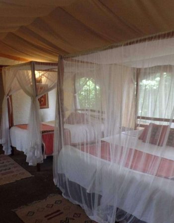 Camp Oloshaiki – Glamping in Masai Mara