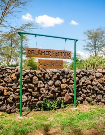 Delamere Kenya