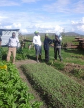 SACDEP Kenya – Agriculture Services
