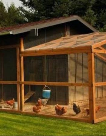 Kenya Poultry Farmers Ltd