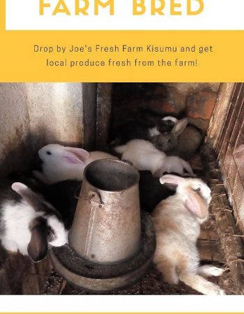 Joe’s Fresh Farm Kisumu