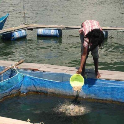 African Blue Limited Kisumu