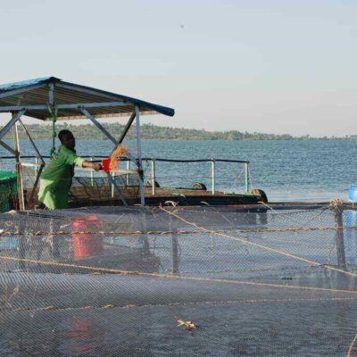 African Blue Limited Kisumu