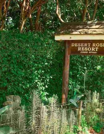 Desert Rose Resort Kisumu