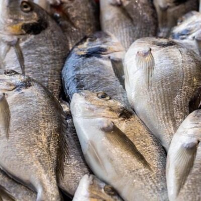 Migingo Fish Supplies Limited Kisumu