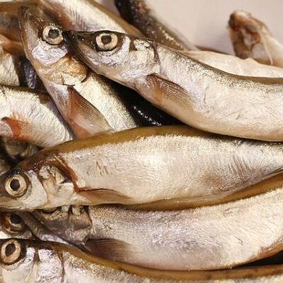 Migingo Fish Supplies Limited Kisumu