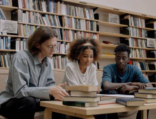 Synovia Education