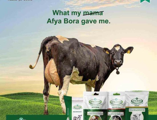 Unga Farm Care EA Limited