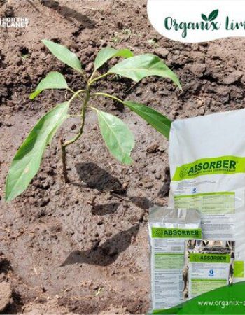 Organix Limited