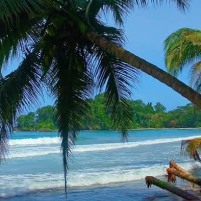 Bilt Ventures & Tours