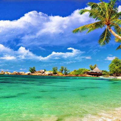 Bilt Ventures & Tours