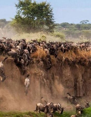 Twinkle Star Tours and Safaris