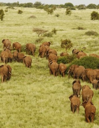 Twinkle Star Tours and Safaris