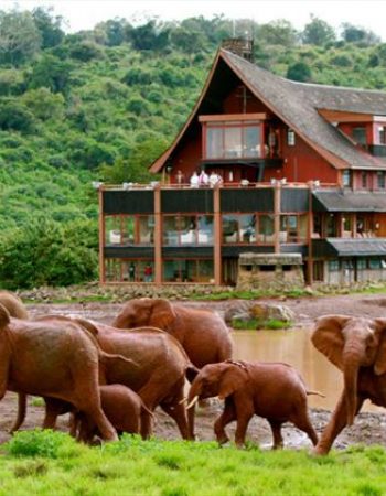 Twinkle Star Tours and Safaris