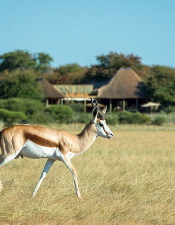 Twinkle Star Tours and Safaris