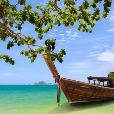 Bilt Ventures & Tours