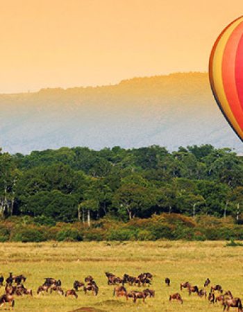 Twinkle Star Tours and Safaris