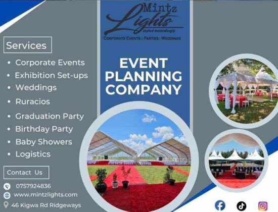 MINTZ Lights Nairobi