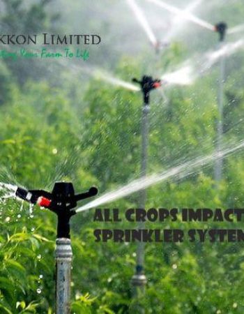 Grekkon Limited – Irrigation Hub. Nairobi