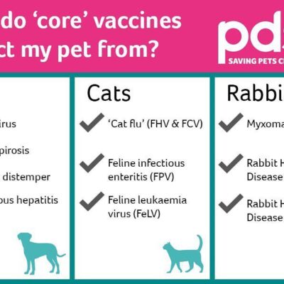 Nairobi Small and Companion Animal Hospital (NASCAH)