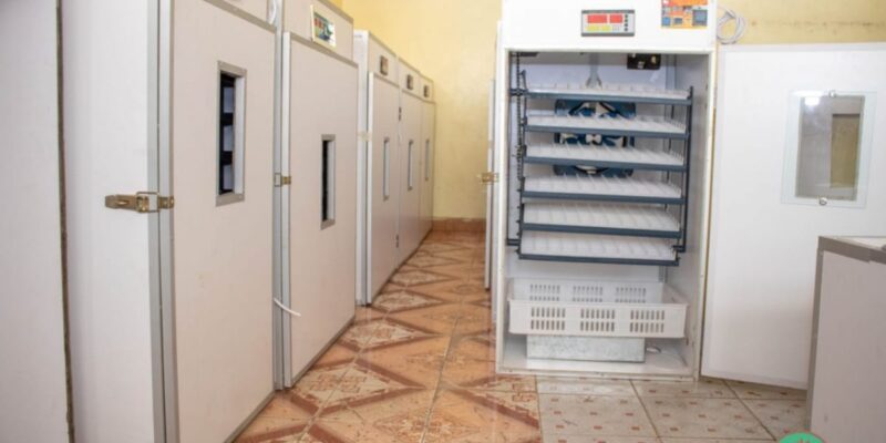 Nice Hatch Incubators
