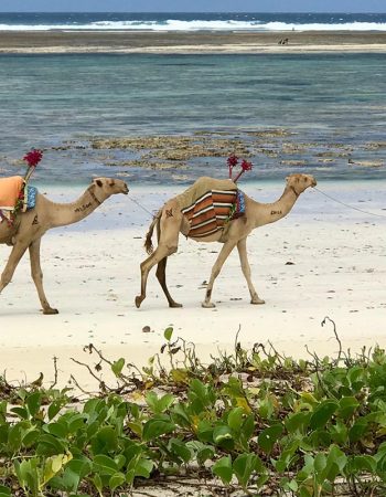 The Maji Beach Boutique Hotel