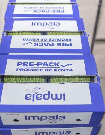 Impala Greens