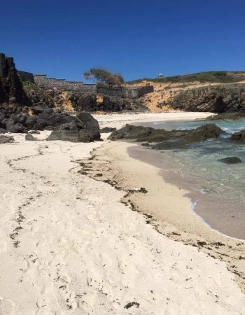 Blue Bay Cove – Watamu