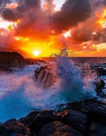 Blue Bay Cove – Watamu