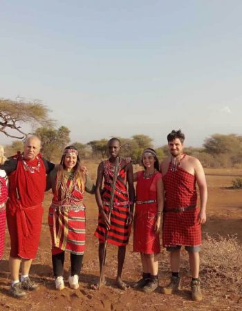 Zebra Plains Collection