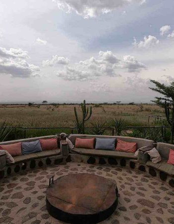 Zebra Plains Collection