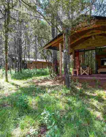 Cedar Retreat Kenya