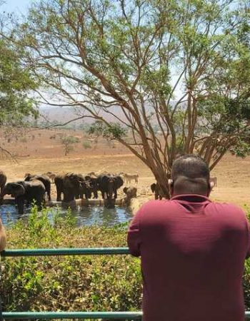 Taita Hills Safari Resort & Spa