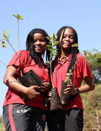 Brookhouse School Kenya