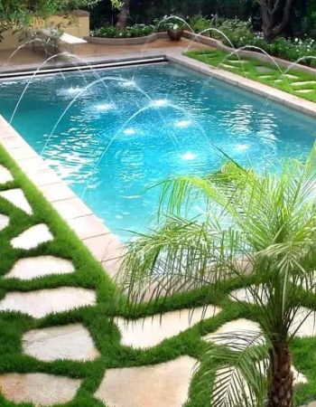 Blue water swimmers Kenya