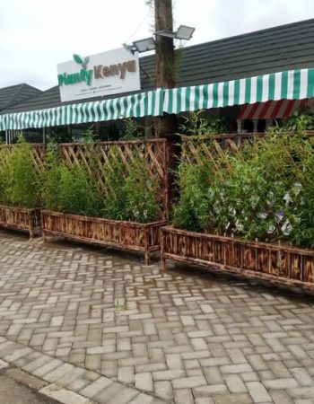 Planty Kenya