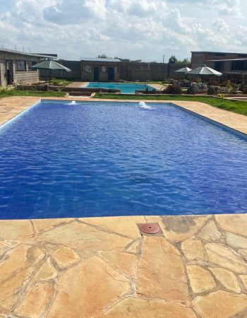 Blue water swimmers Kenya