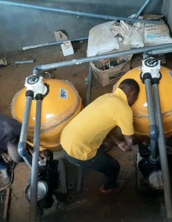 Blue water swimmers Kenya