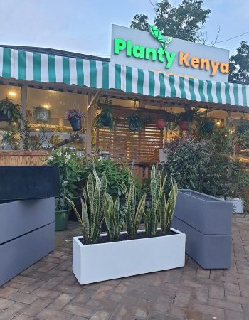 Planty Kenya