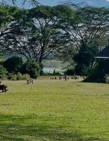 Mundui House Naivasha