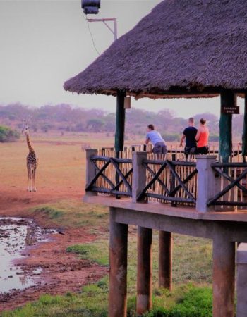 Voi Wildlife Lodge
