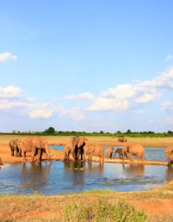 Voi Wildlife Lodge
