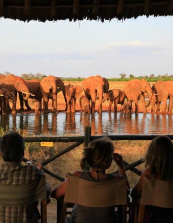 Voi Wildlife Lodge