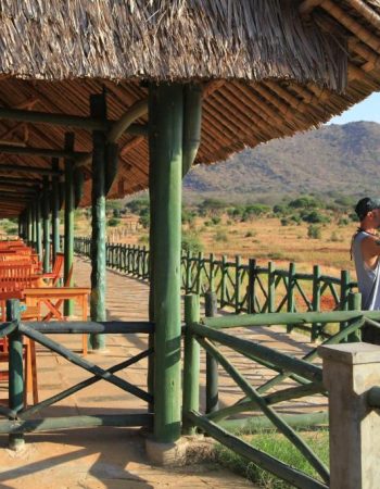 Voi Wildlife Lodge