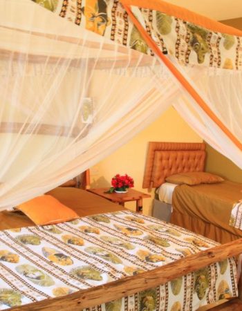 Voi Wildlife Lodge