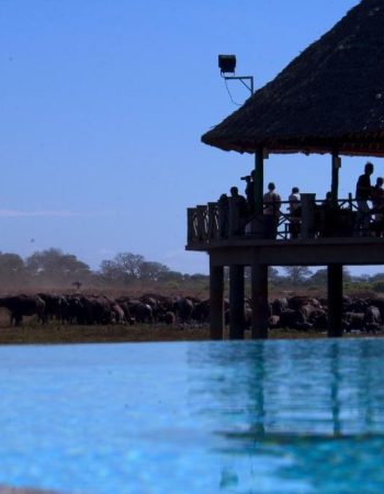 Voi Wildlife Lodge